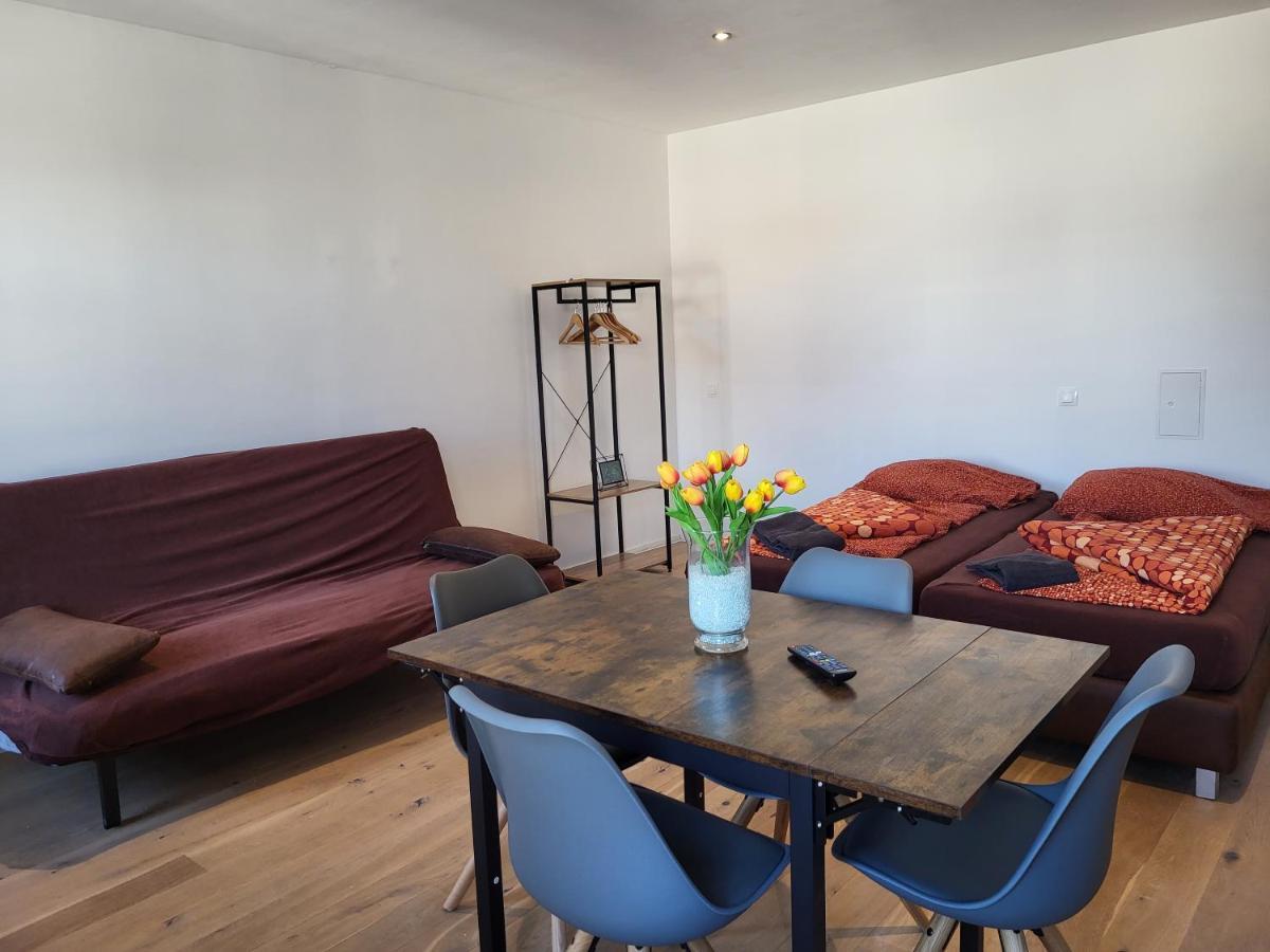 Apartment Hasengasse - Free Highspeed-Internet 维也纳 外观 照片